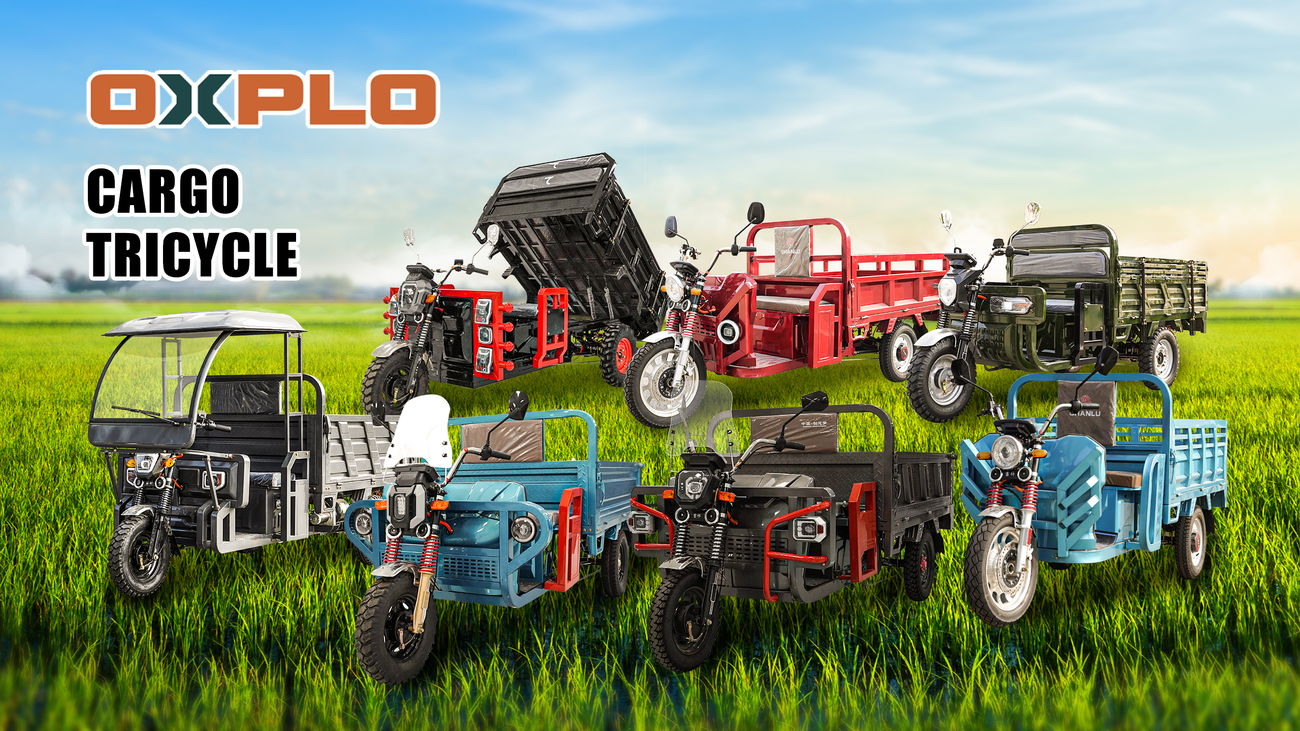 Cargo tricycle