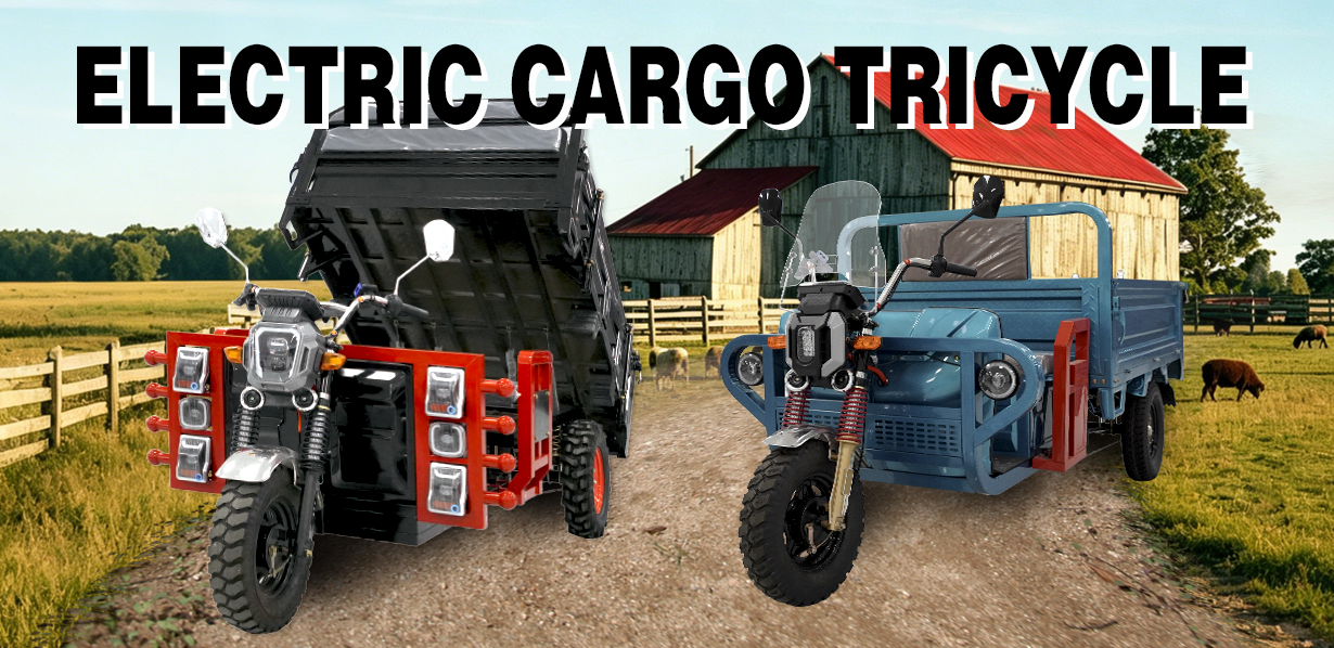 A professional manufacturer of electric tricycles