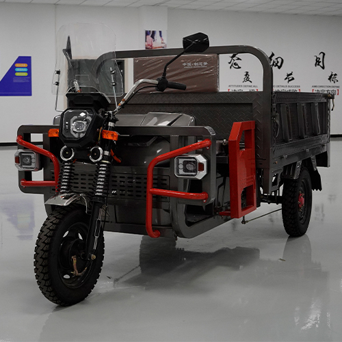 Chinese Brand New 1800W Electric Tricycle Three Wheel for Cargo